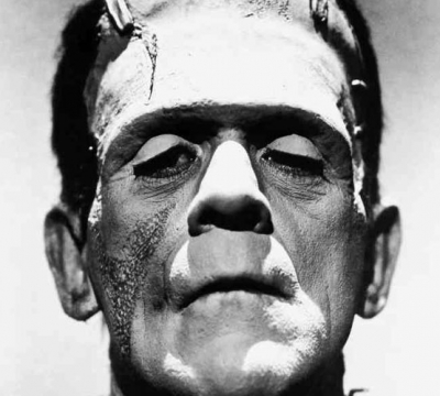 In the Wake of Frankenstein